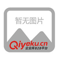 供應01型超市炒栗機.炒貨機、自熟膨化機、干燥箱、